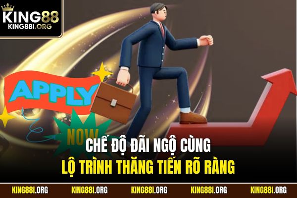 Chế độ đãi ngộ cùng lộ trình thăng tiến rõ ràng 